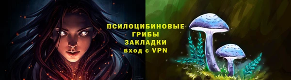хмурый Балабаново
